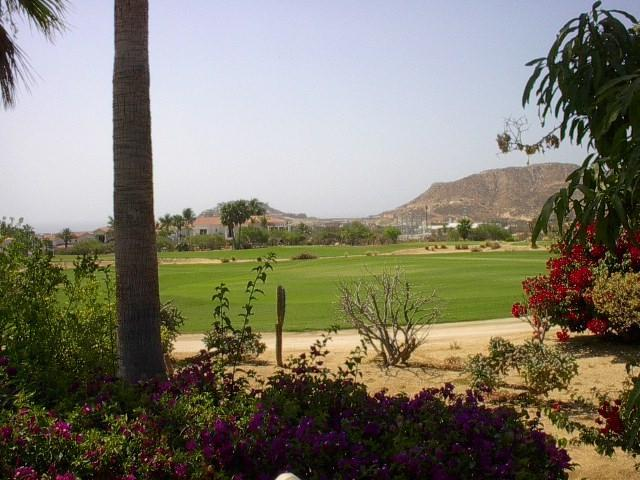 Palmilla Real Estate